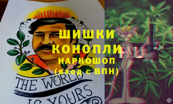 ГАЛЛЮЦИНОГЕННЫЕ ГРИБЫ Вязники
