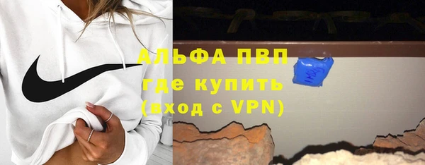 стаф Вязьма