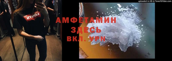 ГАЛЛЮЦИНОГЕННЫЕ ГРИБЫ Вязники