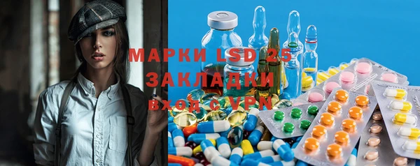 ГАЛЛЮЦИНОГЕННЫЕ ГРИБЫ Вязники