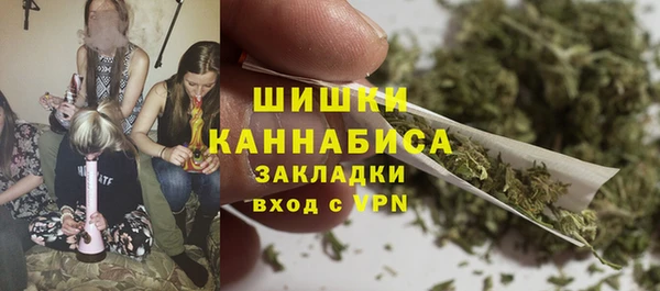 прущий лед Вяземский