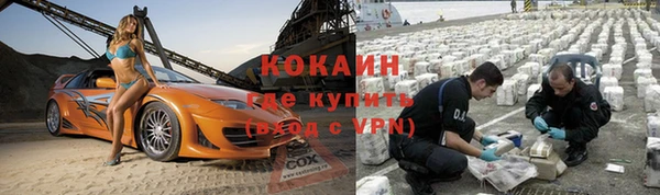 ГАЛЛЮЦИНОГЕННЫЕ ГРИБЫ Вязники